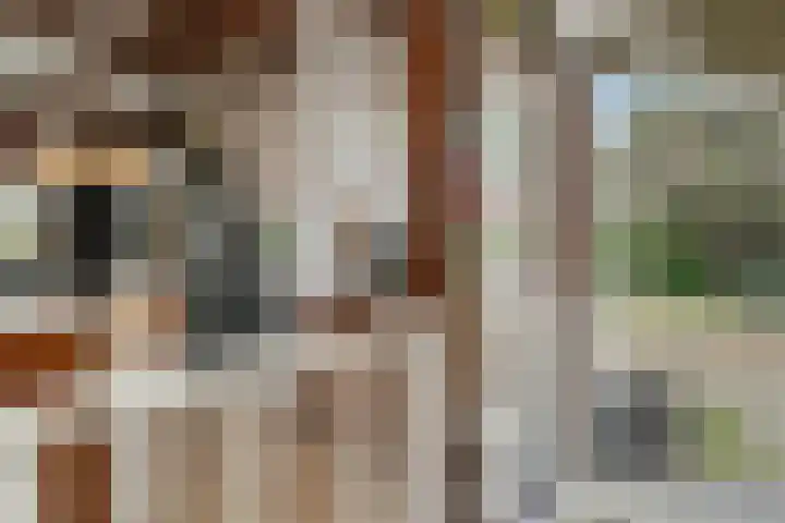 Heugterzijweg 1 Nederweert thumbnail 35