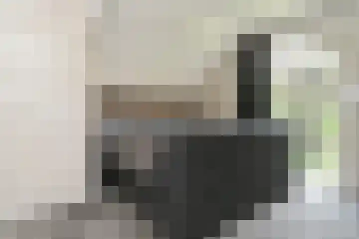 Heugterzijweg 1 Nederweert thumbnail 37