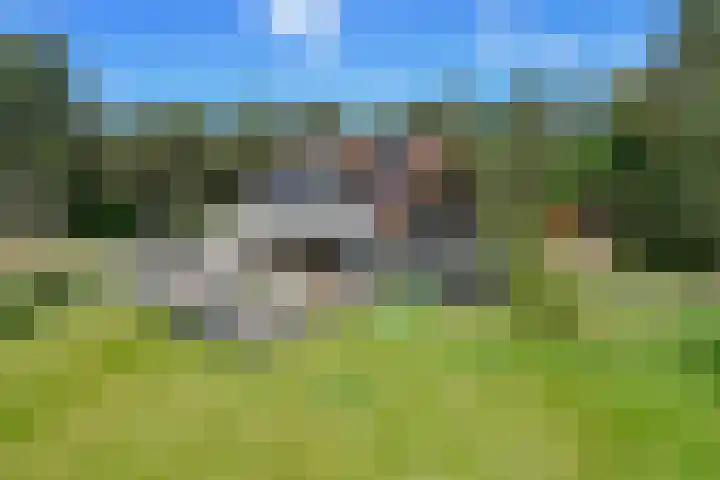Heugterzijweg 1 Nederweert thumbnail 38