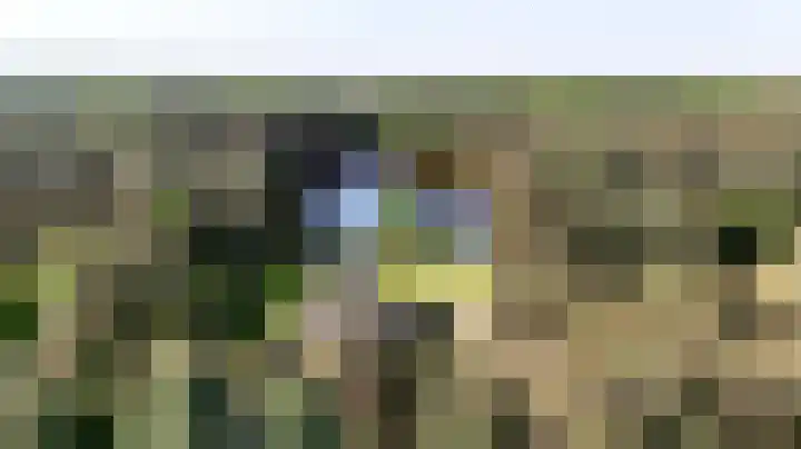 Heugterzijweg 1 Nederweert thumbnail 4