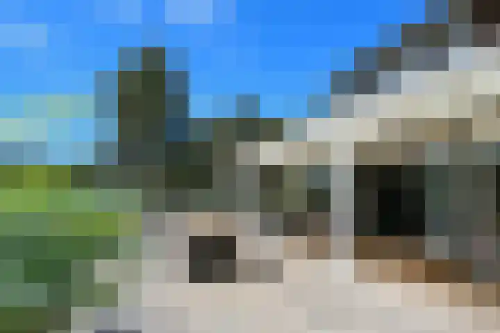 Heugterzijweg 1 Nederweert thumbnail 40