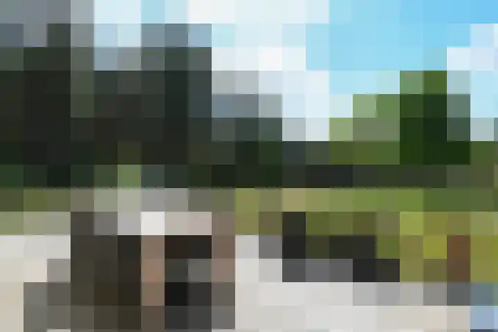 Heugterzijweg 1 Nederweert thumbnail 41