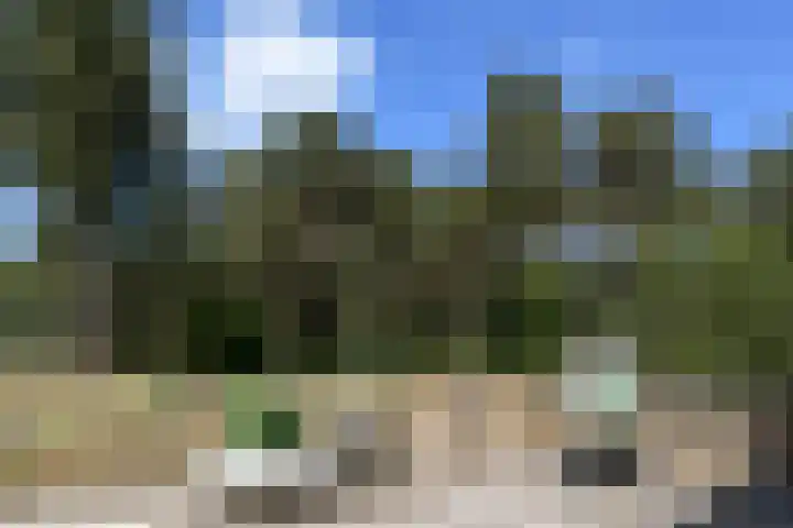 Heugterzijweg 1 Nederweert thumbnail 42