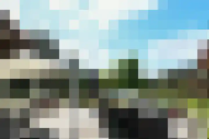 Heugterzijweg 1 Nederweert thumbnail 43