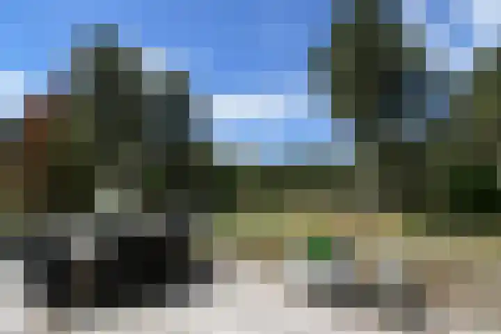 Heugterzijweg 1 Nederweert thumbnail 45