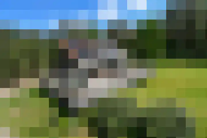 Heugterzijweg 1 Nederweert thumbnail 47