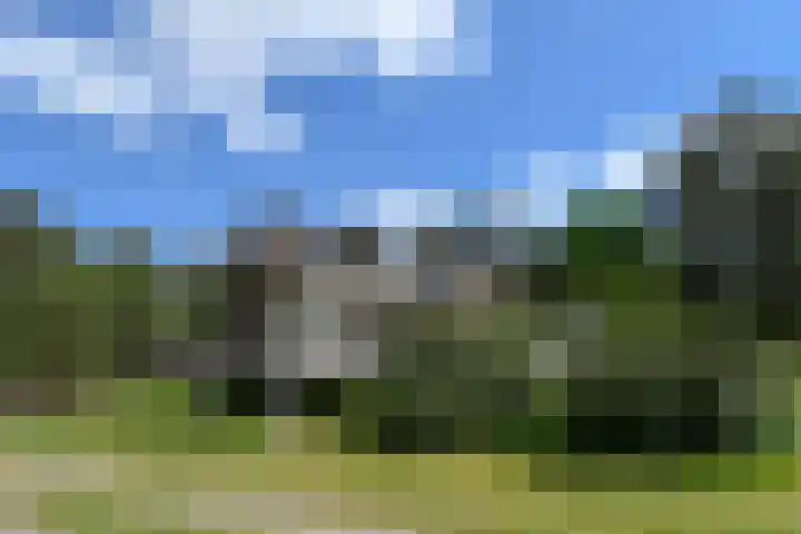 Heugterzijweg 1 Nederweert thumbnail 48