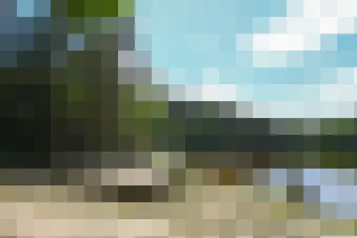 Heugterzijweg 1 Nederweert thumbnail 50