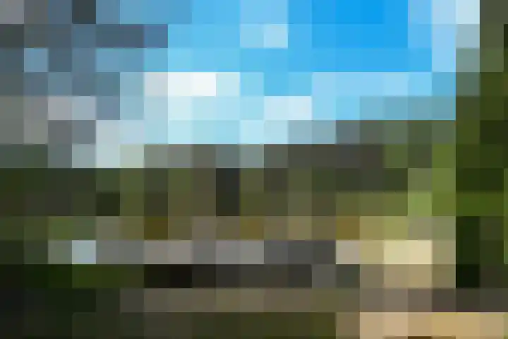 Heugterzijweg 1 Nederweert thumbnail 51