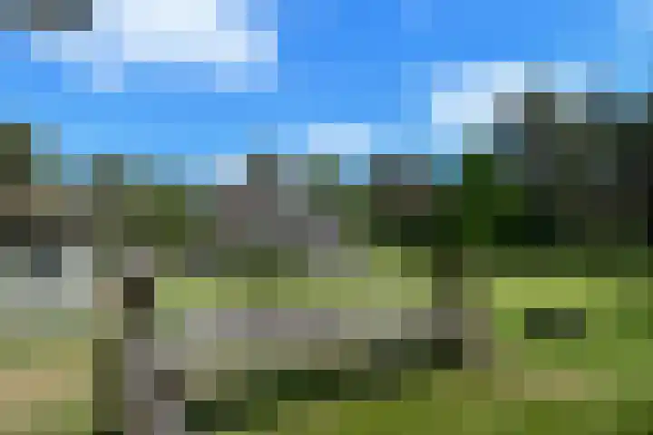 Heugterzijweg 1 Nederweert thumbnail 52