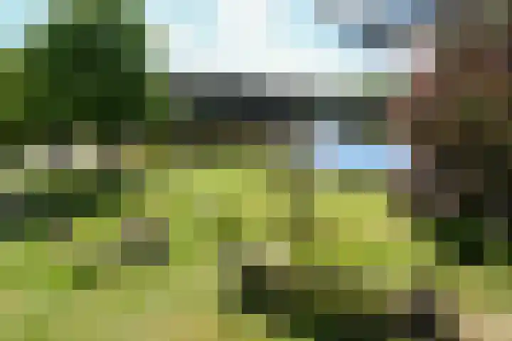 Heugterzijweg 1 Nederweert thumbnail 53