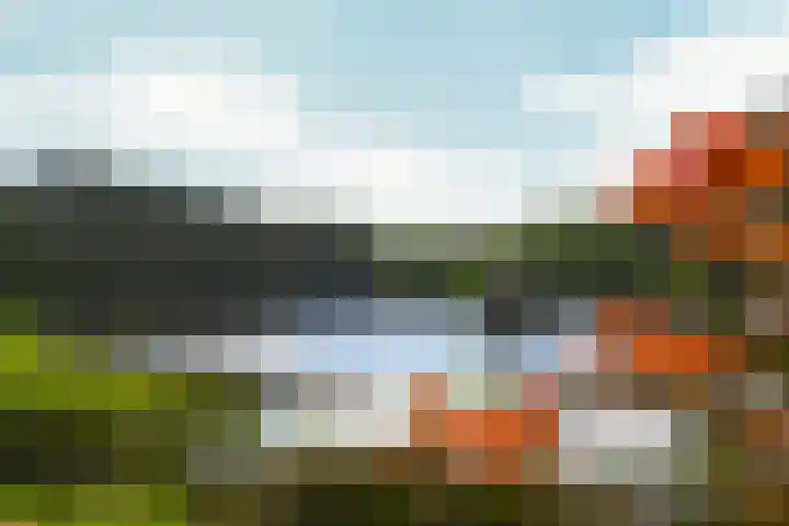 Heugterzijweg 1 Nederweert thumbnail 55