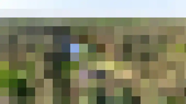Heugterzijweg 1 Nederweert thumbnail 56