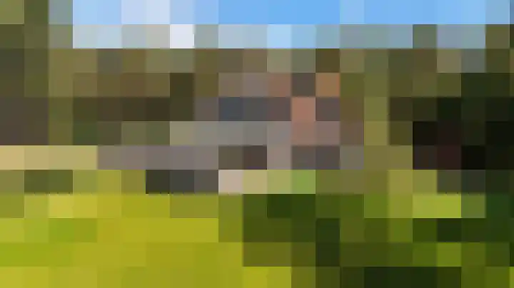 Heugterzijweg 1 Nederweert thumbnail 6