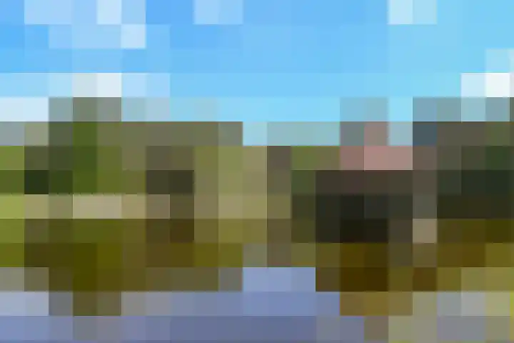 Heugterzijweg 1 Nederweert thumbnail 60