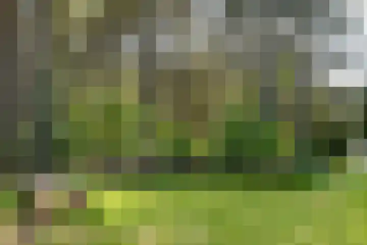 Heugterzijweg 1 Nederweert thumbnail 66