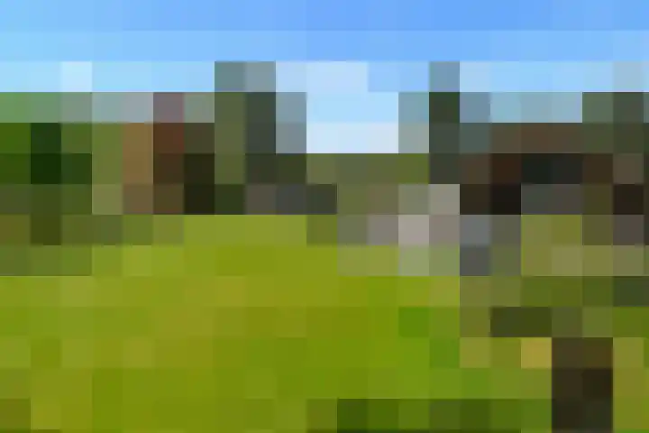 Heugterzijweg 1 Nederweert thumbnail 67