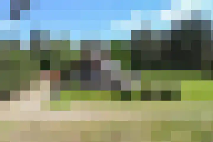 Heugterzijweg 1 Nederweert thumbnail 68