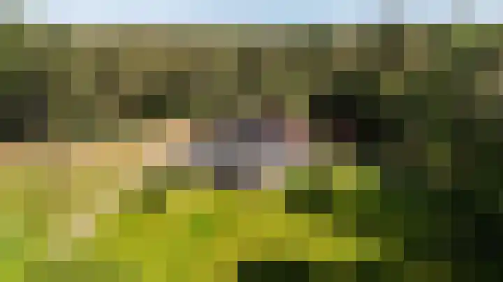 Heugterzijweg 1 Nederweert thumbnail 69