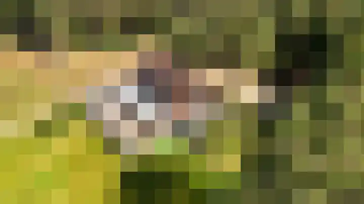 Heugterzijweg 1 Nederweert thumbnail 7