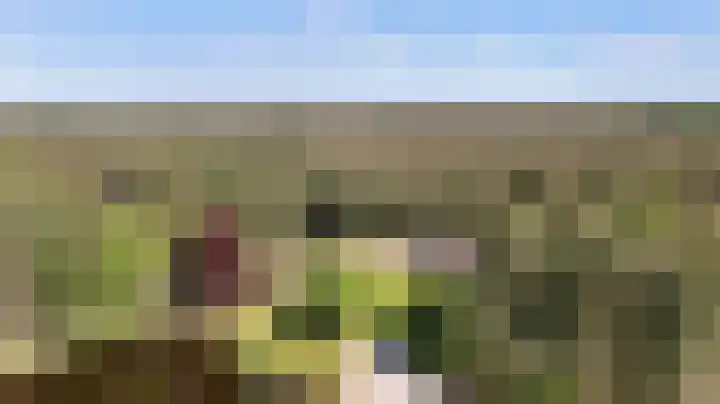 Heugterzijweg 1 Nederweert thumbnail 70