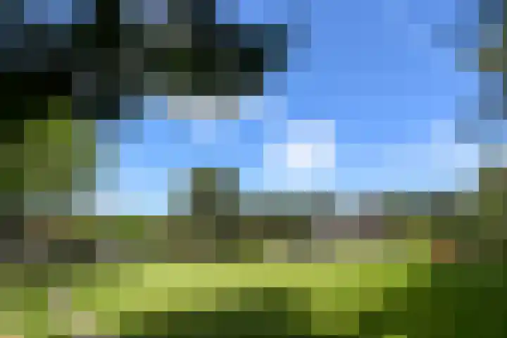 Heugterzijweg 1 Nederweert thumbnail 76