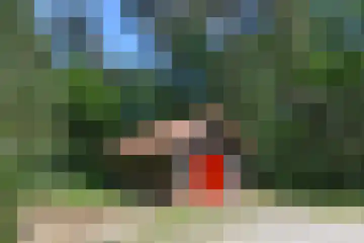 Heugterzijweg 1 Nederweert thumbnail 77
