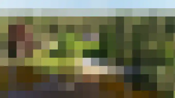 Heugterzijweg 1 Nederweert thumbnail 78