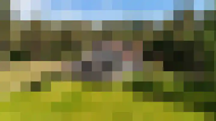 Heugterzijweg 1 Nederweert thumbnail 8