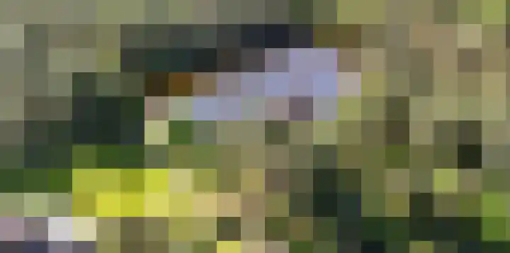 Heugterzijweg 1 Nederweert thumbnail 88