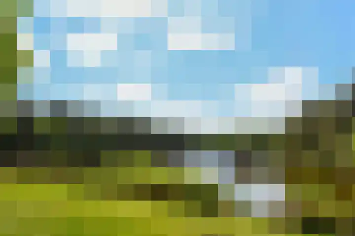 Heugterzijweg 1 Nederweert thumbnail 9