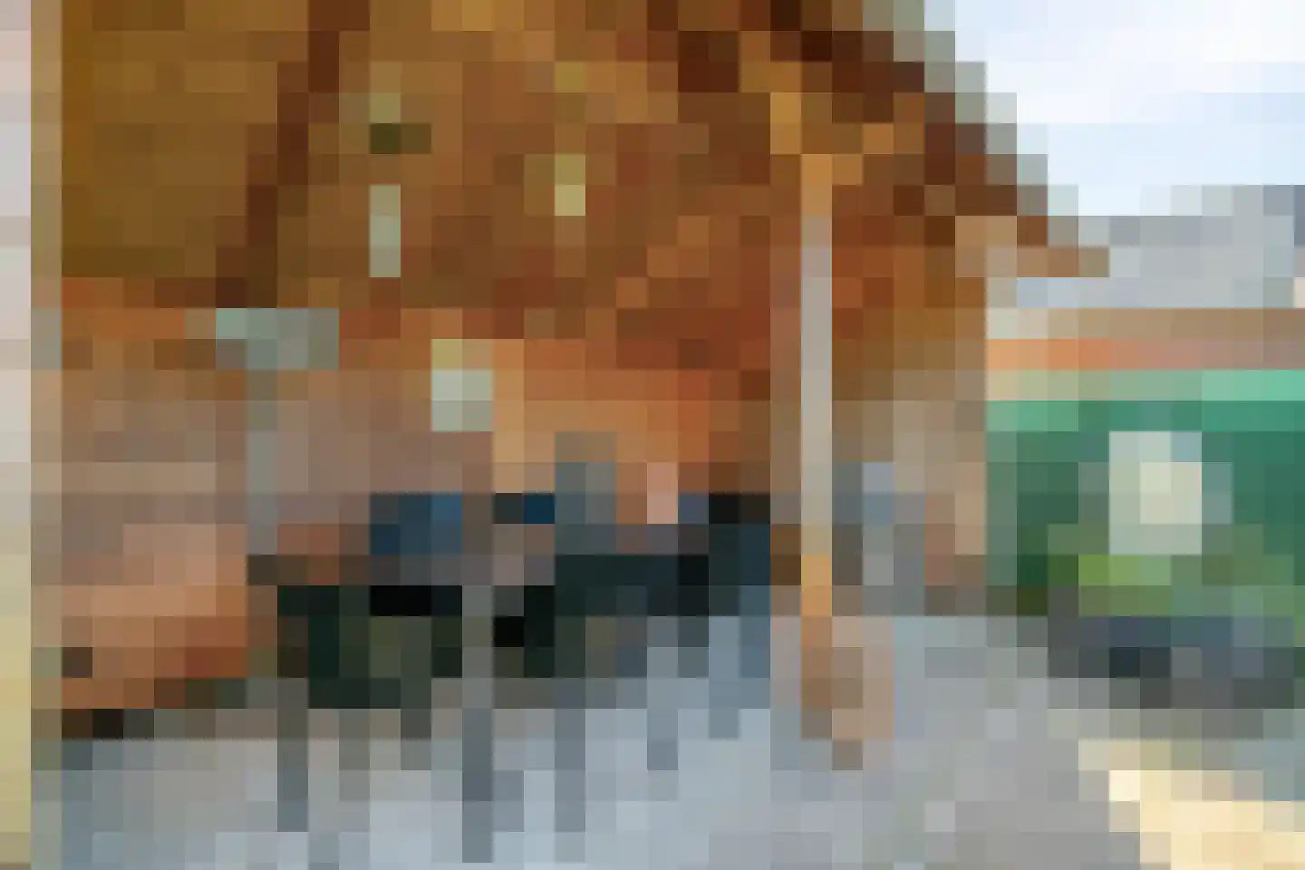 Heukelenseweg 16 F Deventer thumbnail 34