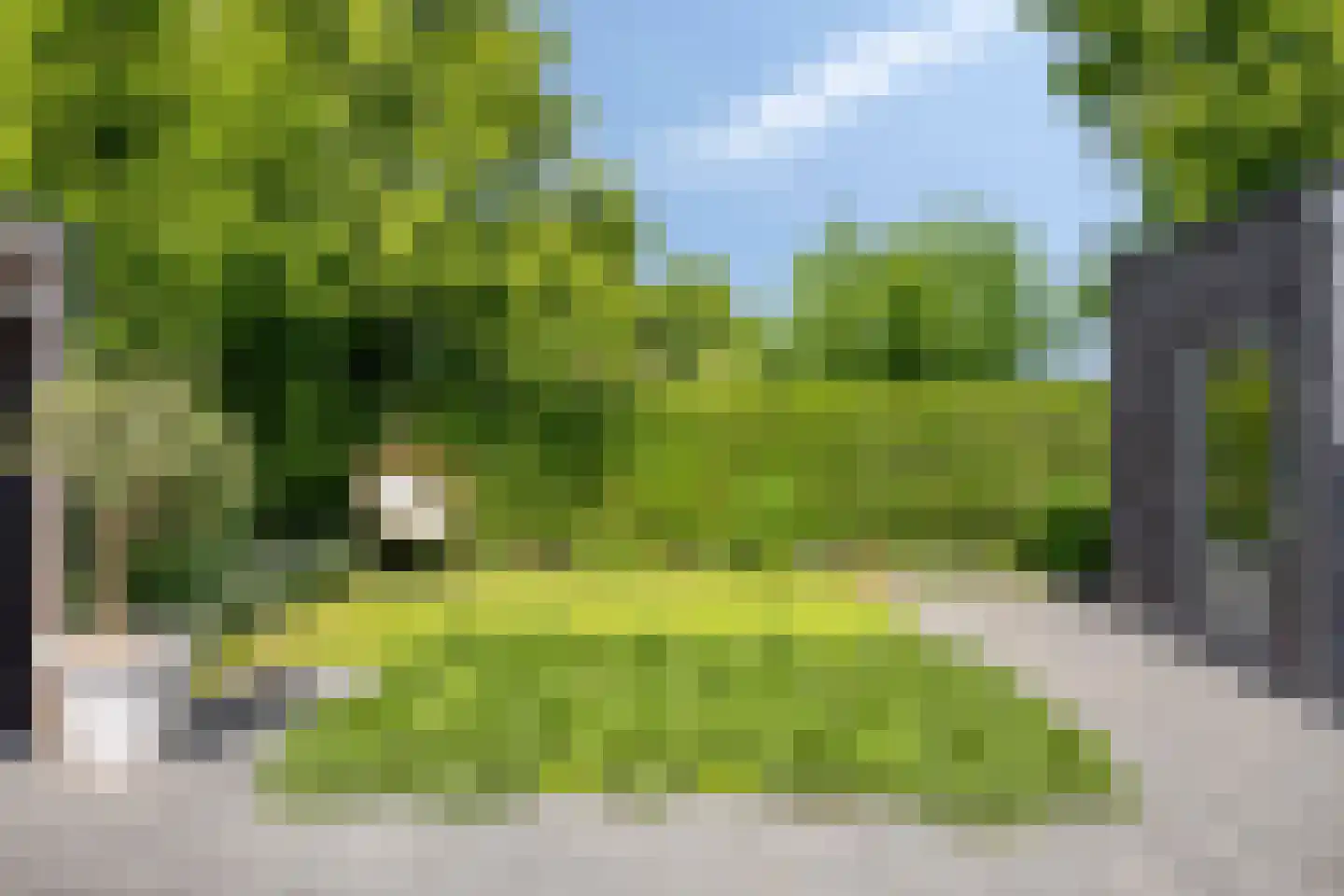 Heukelenseweg 16 G Deventer thumbnail 42