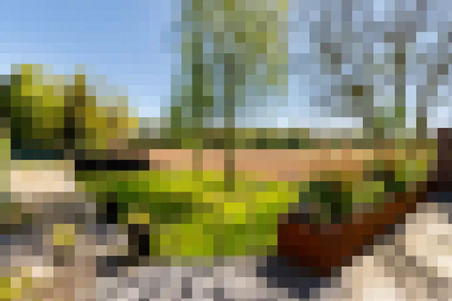 Heukelom 21 Afferden L thumbnail 35