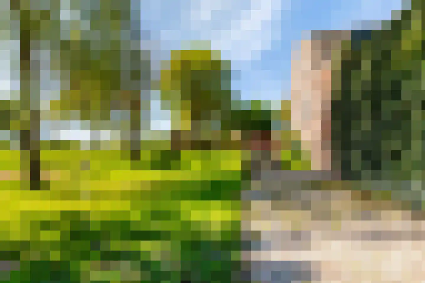 Heukelom 21 Afferden L thumbnail 38
