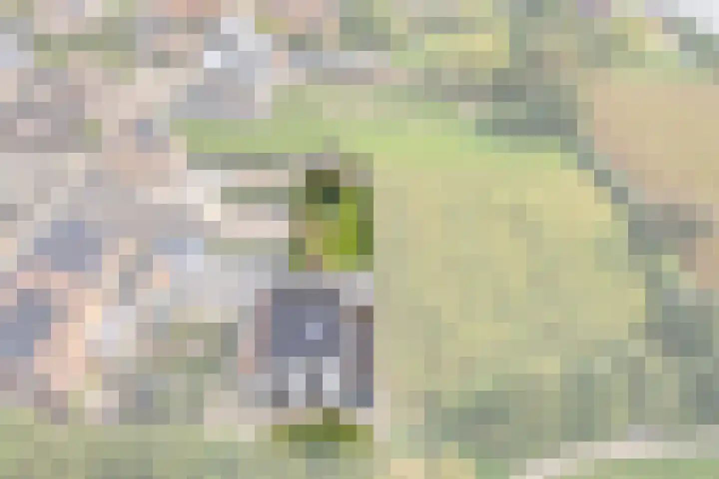 Heukelom-Dorp 2 Heukelom thumbnail 29