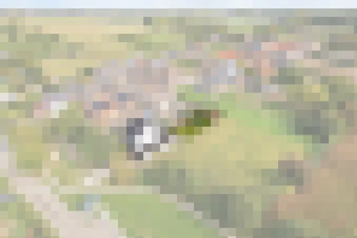Heukelom-Dorp 2 Heukelom thumbnail 30