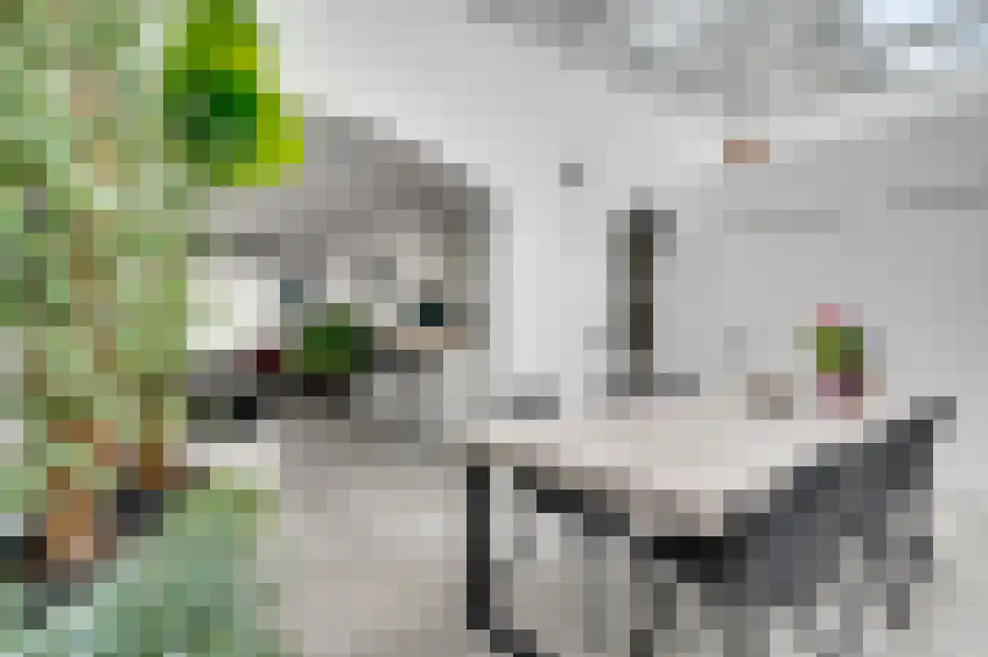 Heukelommerweg 62 Maastricht thumbnail 7