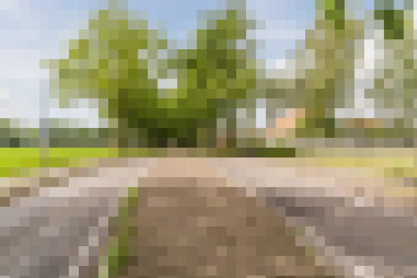 Heukelomseweg 11 Heukelom thumbnail 10