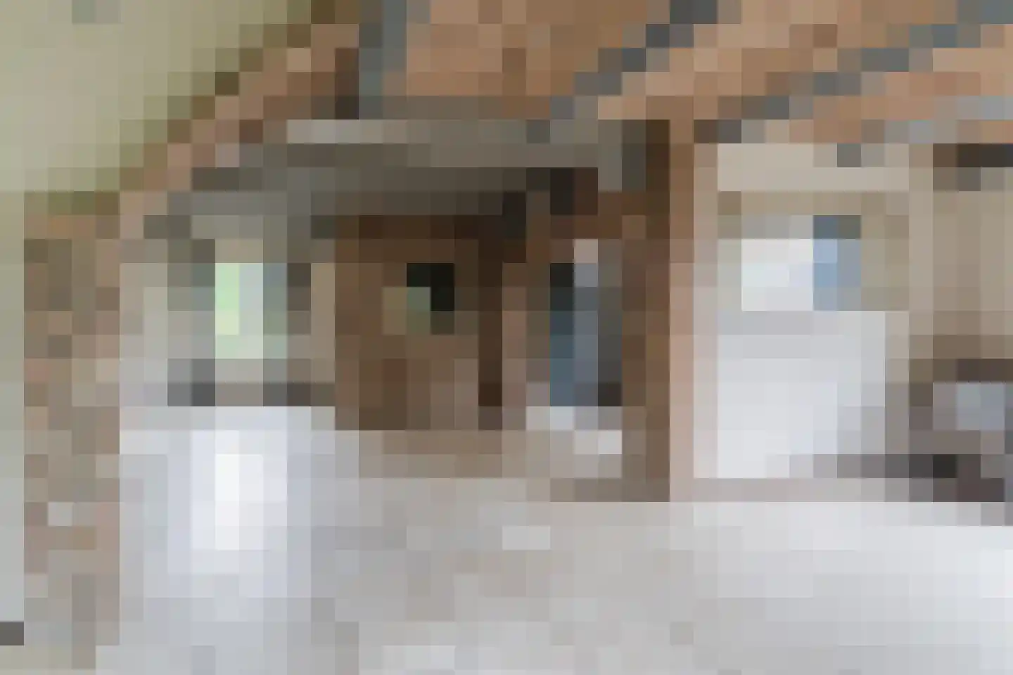 Heukelomseweg 11 Heukelom thumbnail 17