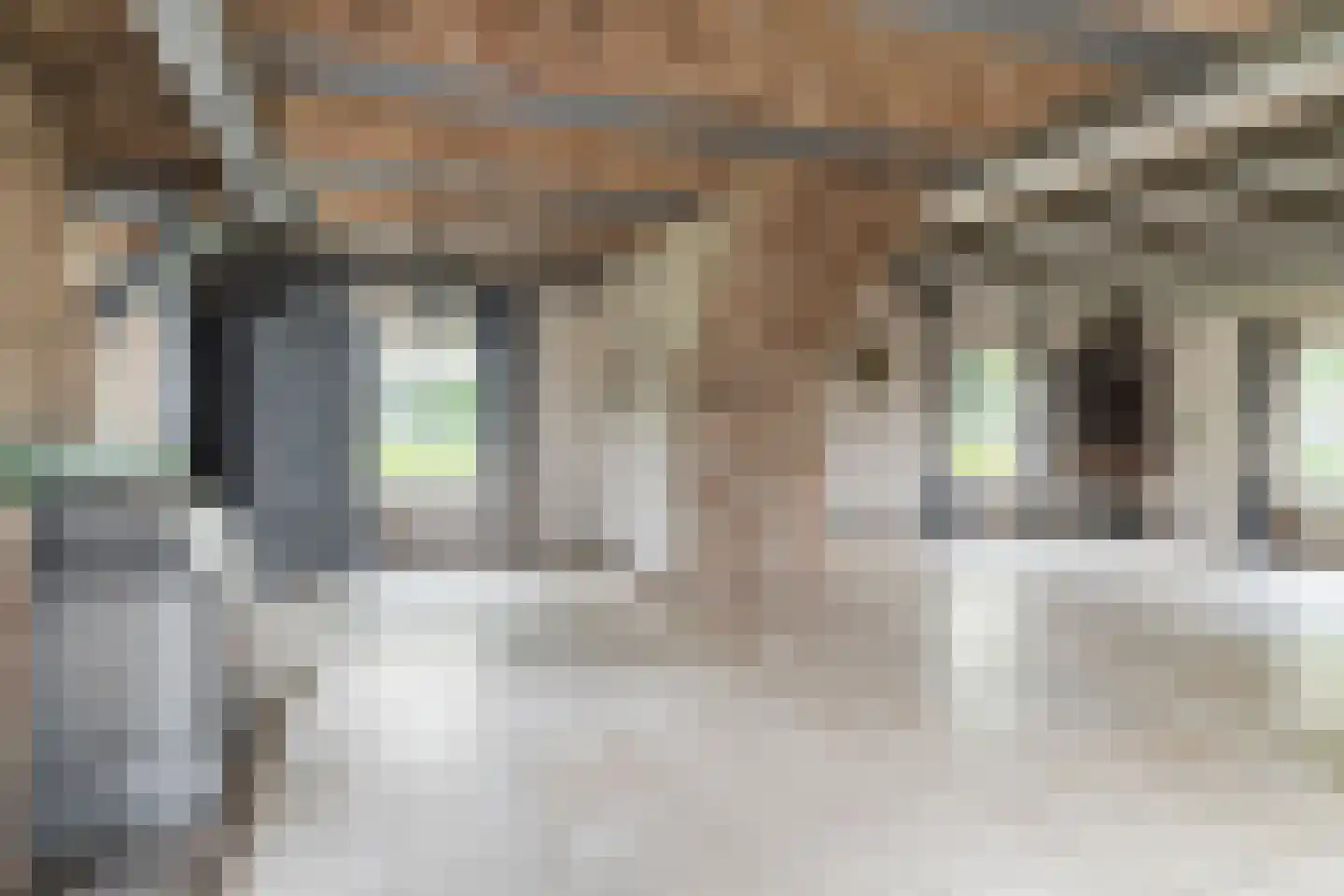 Heukelomseweg 11 Heukelom thumbnail 18