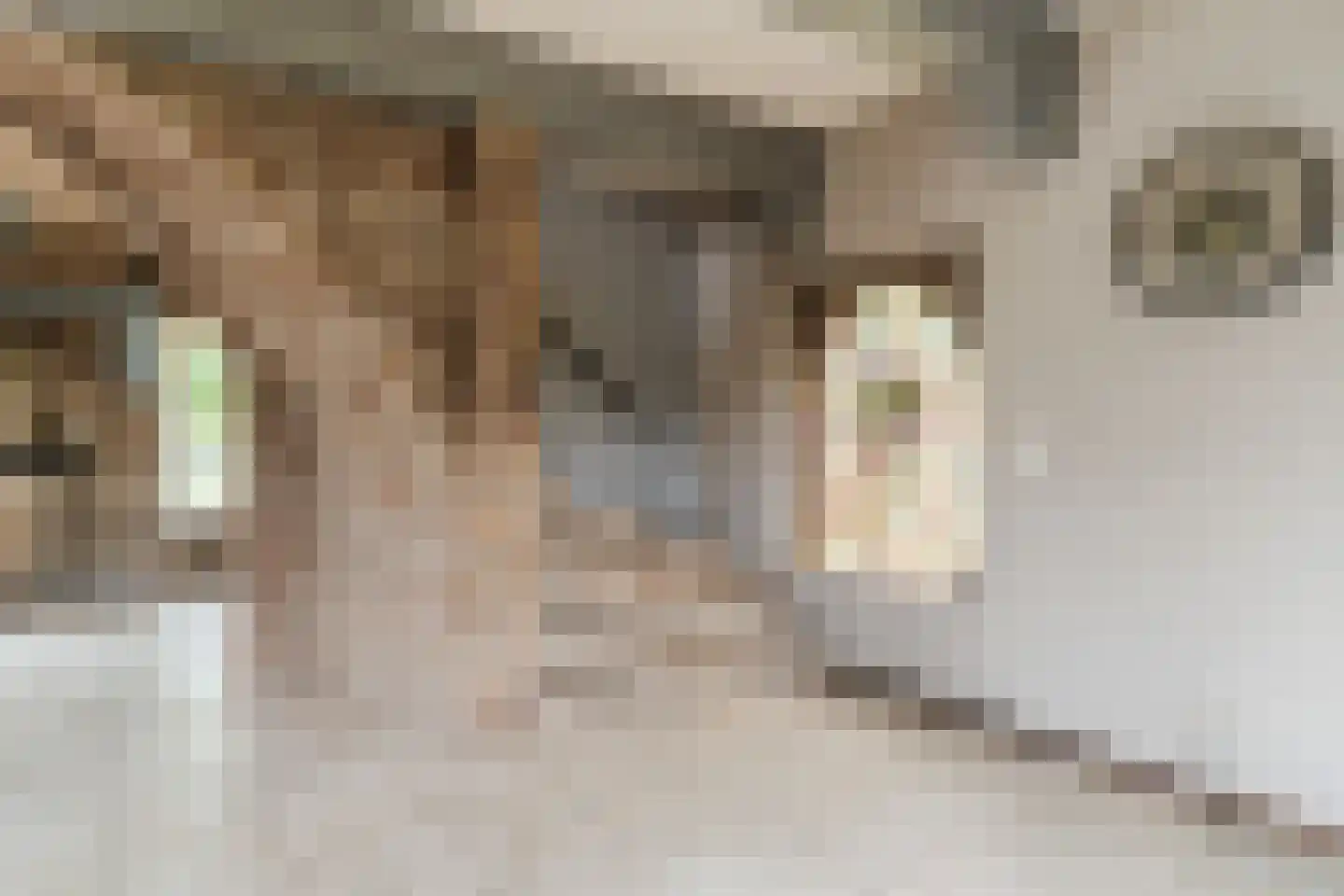 Heukelomseweg 11 Heukelom thumbnail 24