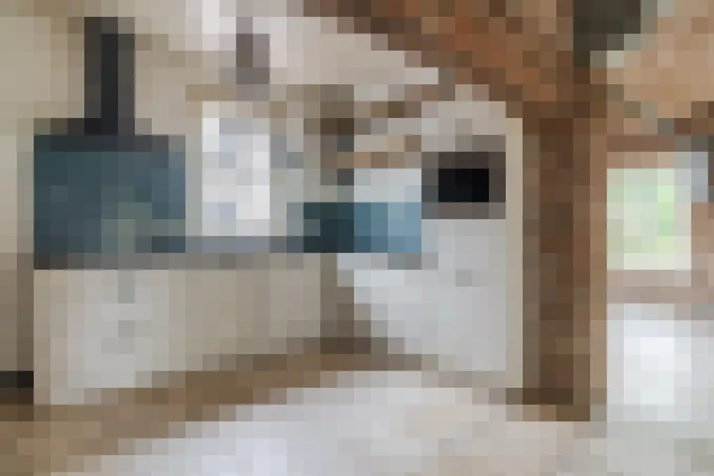 Heukelomseweg 11 Heukelom thumbnail 27