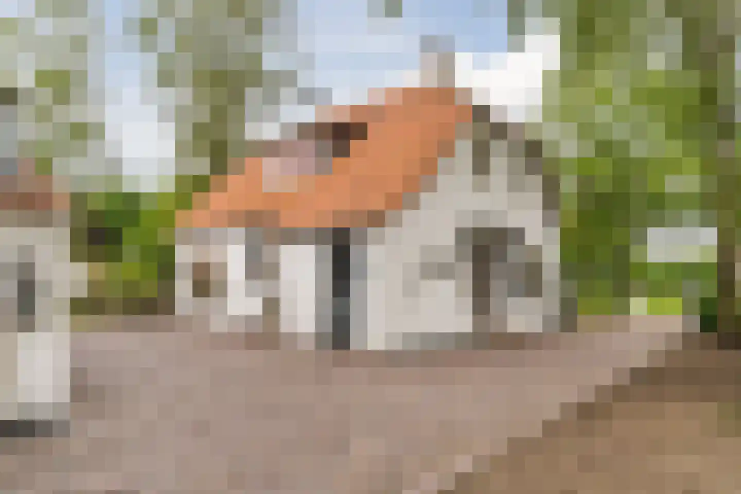 Heukelomseweg 11 Heukelom thumbnail 4