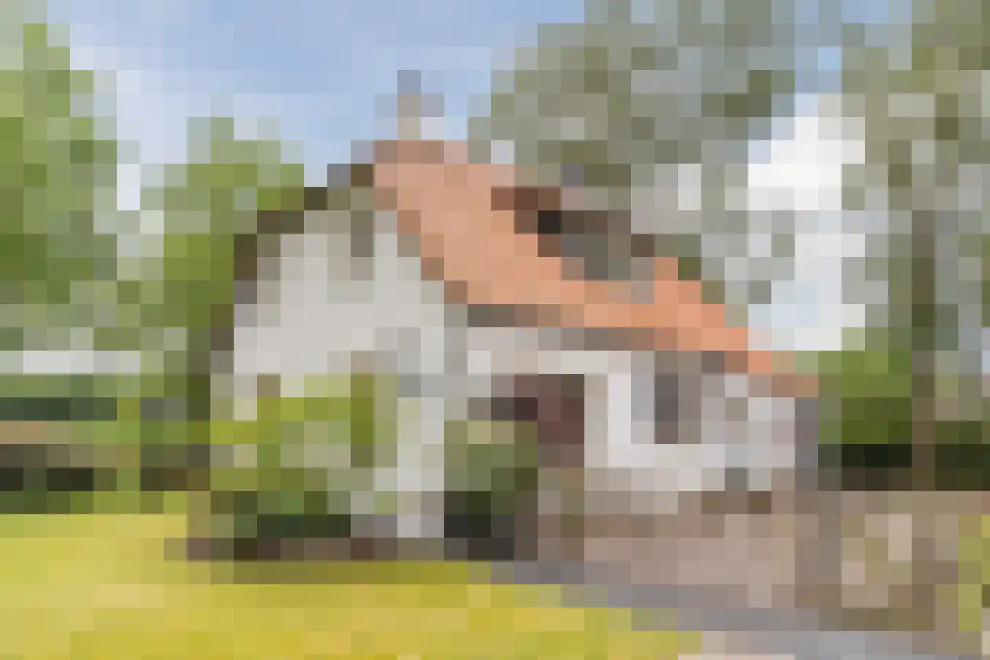 Heukelomseweg 11 Heukelom thumbnail 61