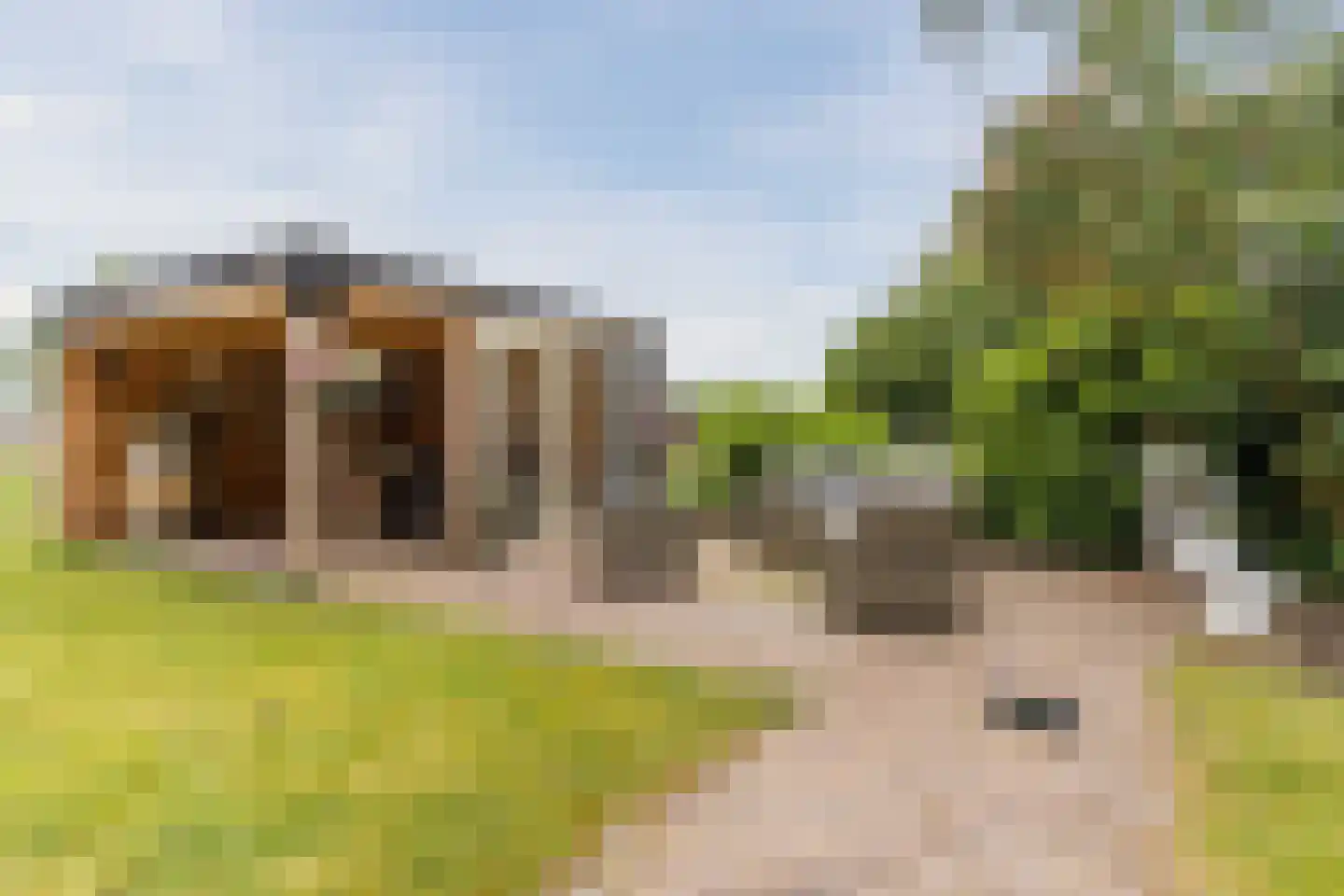 Heukelomseweg 11 Heukelom thumbnail 66