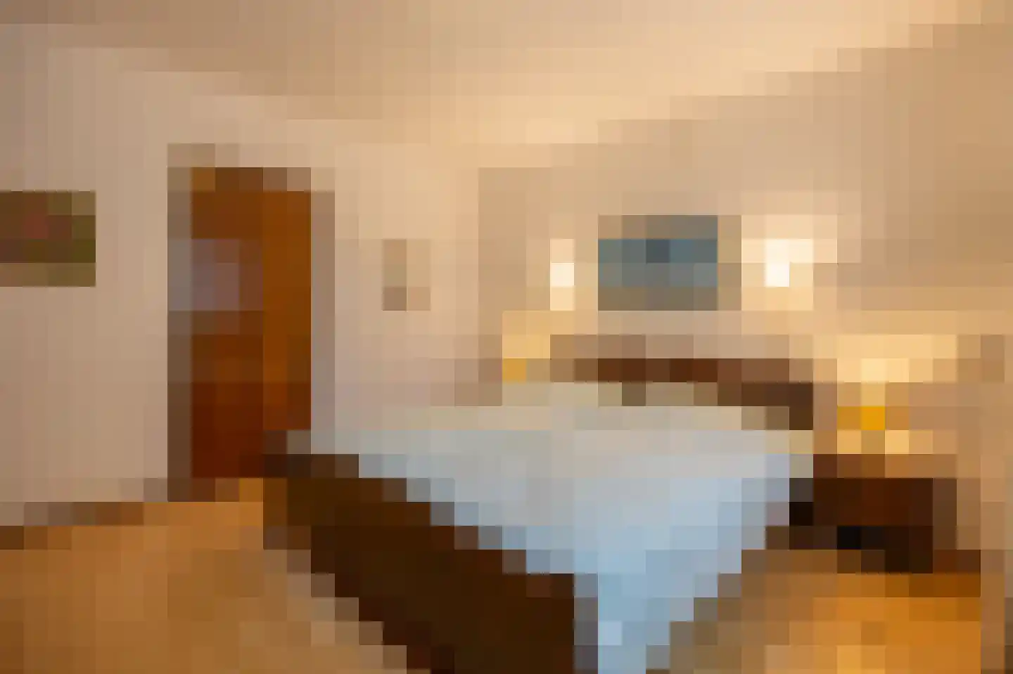 Heukelomseweg 3 Heukelom thumbnail 16