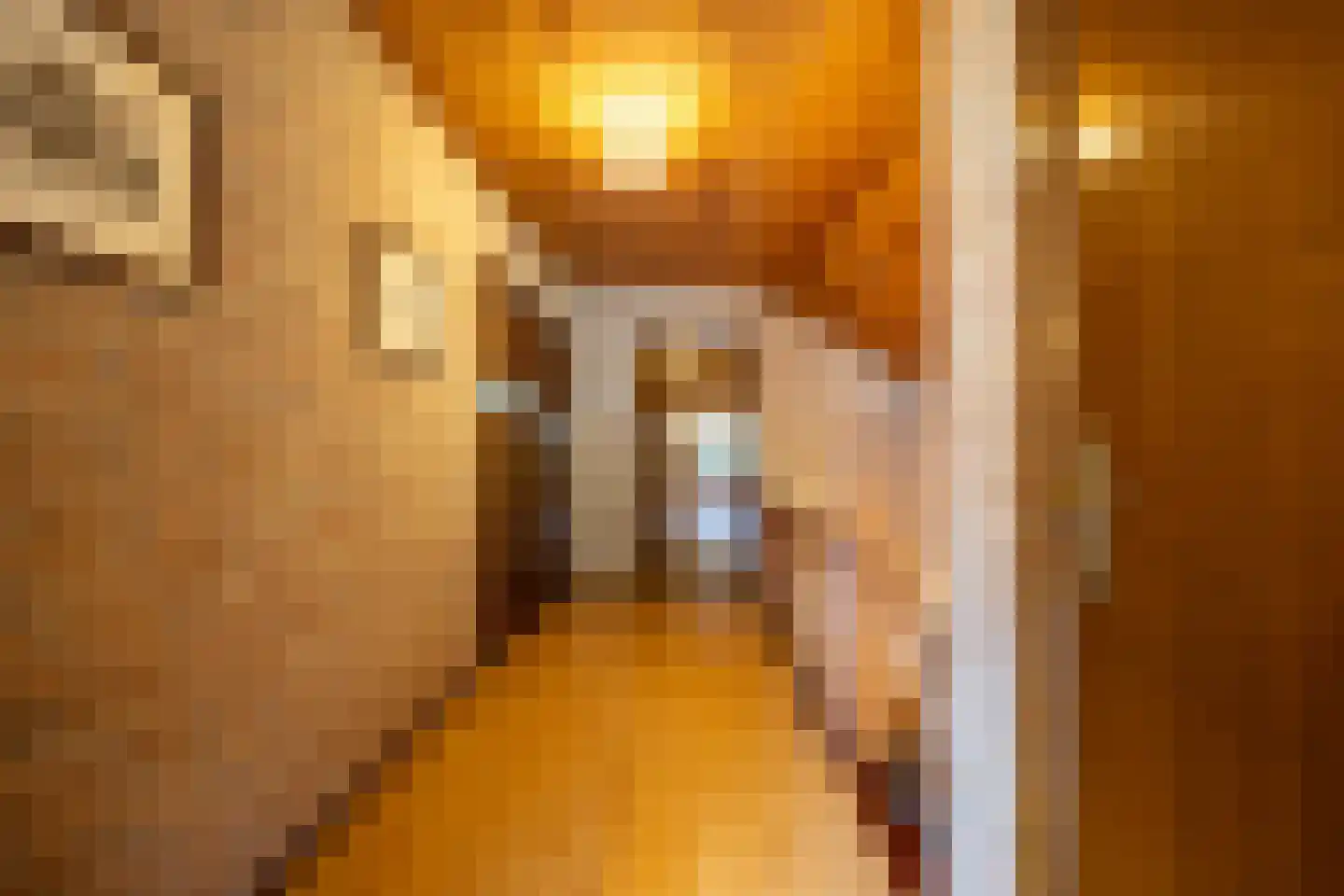 Heukelomseweg 3 Heukelom thumbnail 21