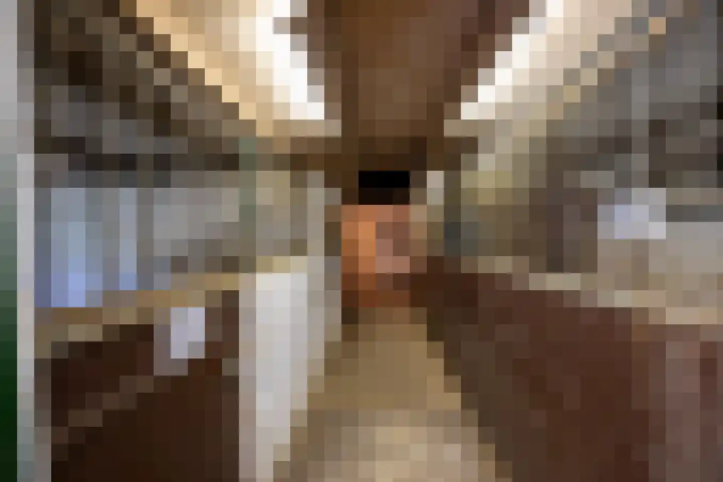 Heukelomseweg 3 Heukelom thumbnail 27