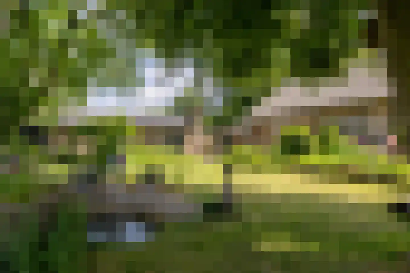 Heukelomseweg 3 Heukelom thumbnail 30